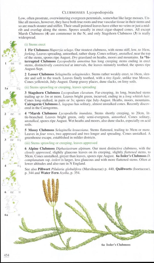 Wild Flowers of Britain and Ireland, 2nd Ed. - Blamey 2013